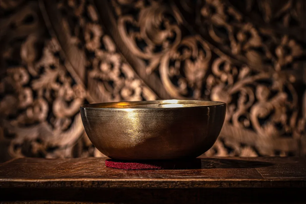 SB-E-1000_Shop_Detail_View_4.webp
