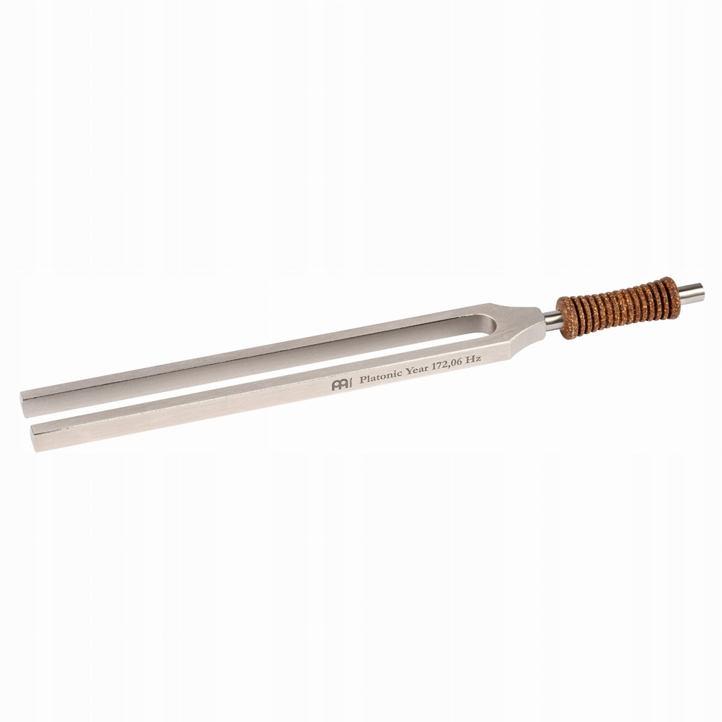 Therapy Tuning Fork, Platonic Year